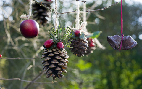 Homemade outdoor holiday decorations made from natural materials hanging in tree
